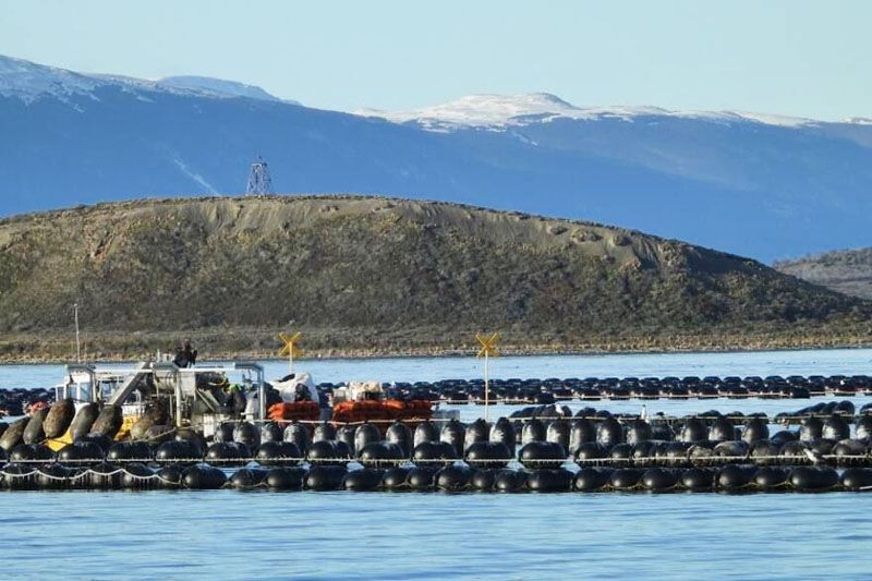 Carcamo: “Newsan está perjudicando a los pescadores artesanales”