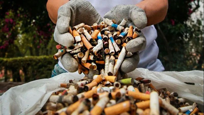 Impulsan campaña para reducir colillas 