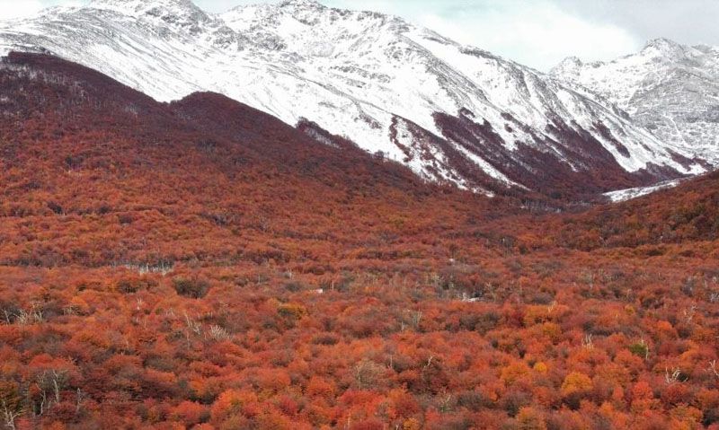 Fuerte suba de temperatura en Ushuaia, pero con viento