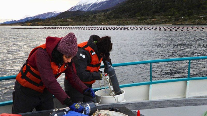 Se prorrogó hasta 2028 la exención de cánones para proyectos científicos 