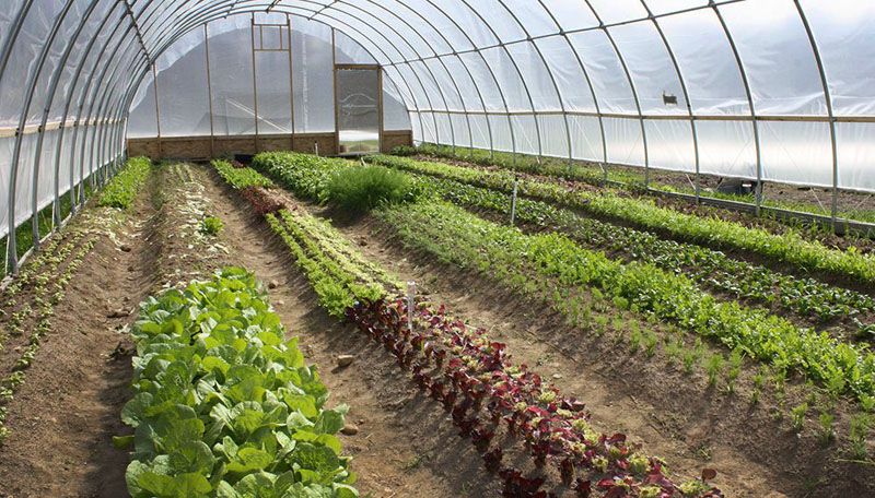 Nueva jornada de formación sobre normativa orgánica