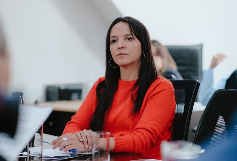 Vuoto: ¨La Legislatura puede derogar la reforma¨