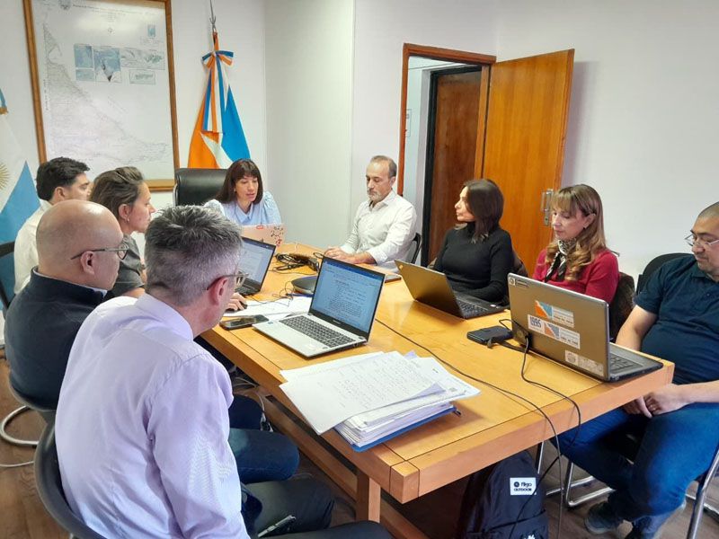 Expectativas de recuperación frustradas 