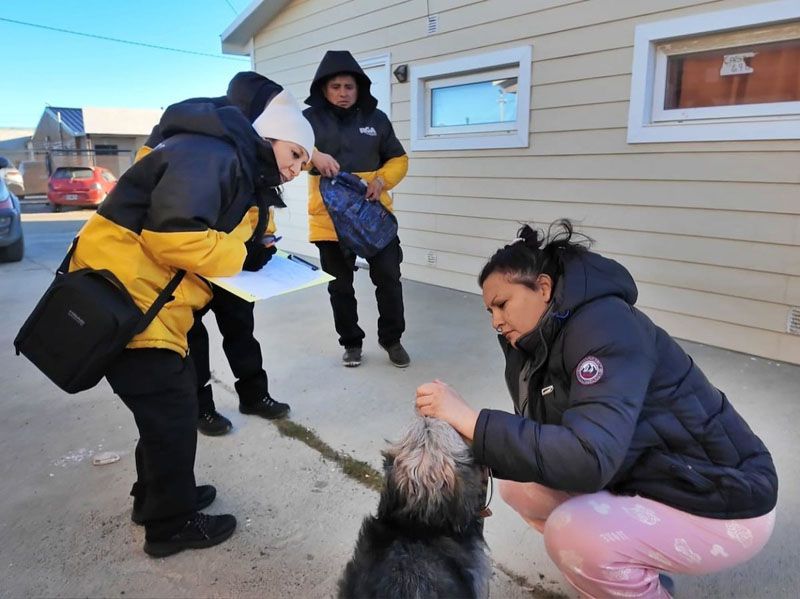 Servicios Veterinarios reforzó operativos territoriales en Río Grande