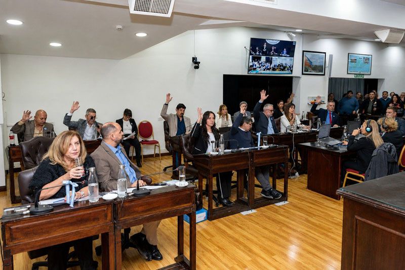 Insistencia y judicialización