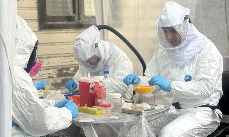 Enviaron al Malbrán más de cien muestras de roedores capturados en Ushuaia