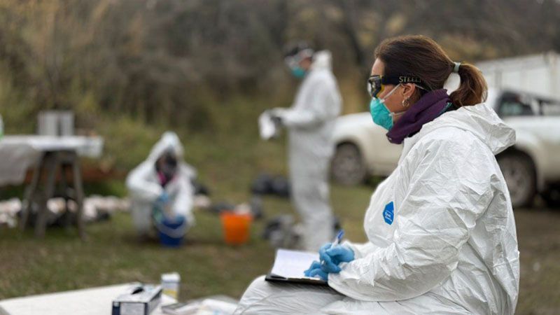 Descartan que Ushuaia haya sido el origen del hantavirus