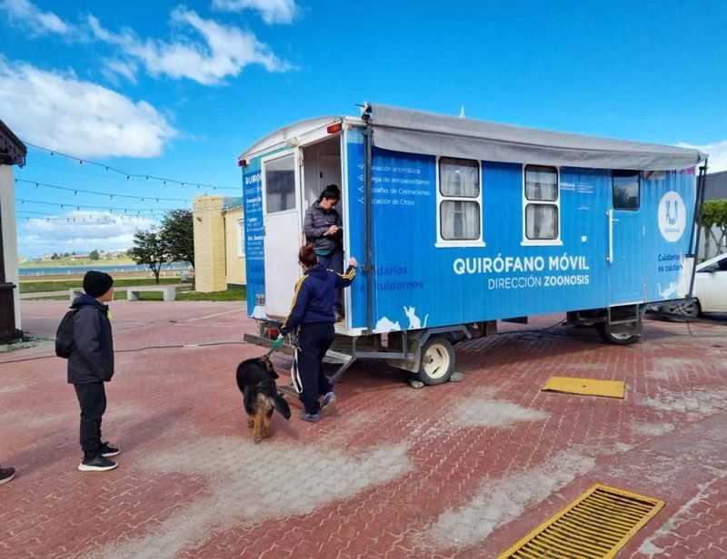 Recomendaciones para prevenir cuadros de gastroenteritis en perros