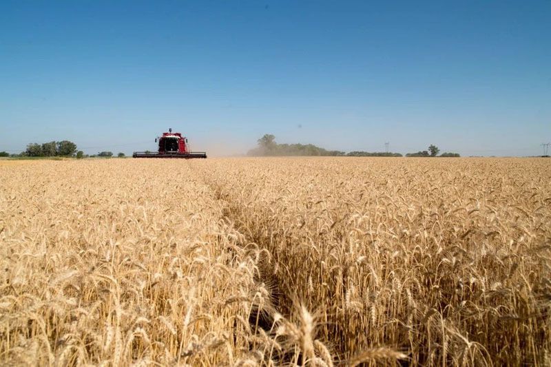 Las exportaciones agroindustriales alcanzaron un récord histórico