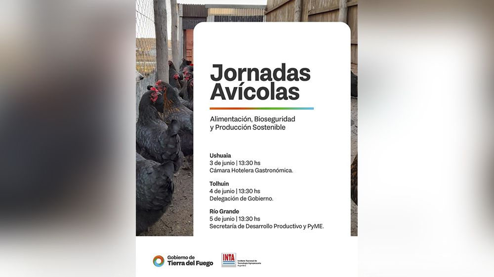 Jornadas avícolas para fortalecer la producción local