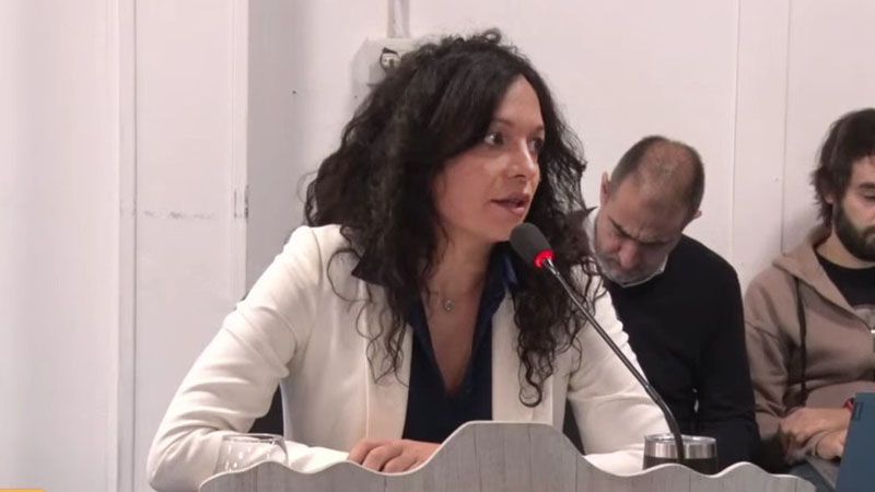 Ávila llamó a reforzar la lucha contra la violencia de género