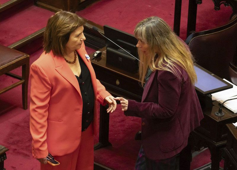 Se aprobó el pliego de Michelli pese al veto del Gobierno