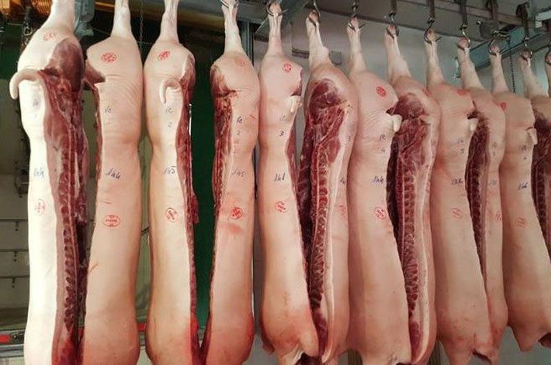 Advierten los riesgos del presunto brote de triquinosis