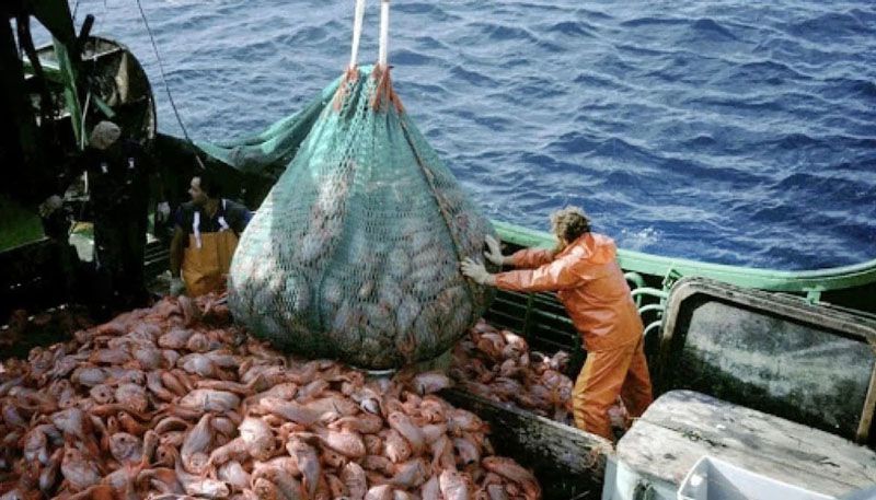 El sector pesquero cayó 23,1% interanual en abril