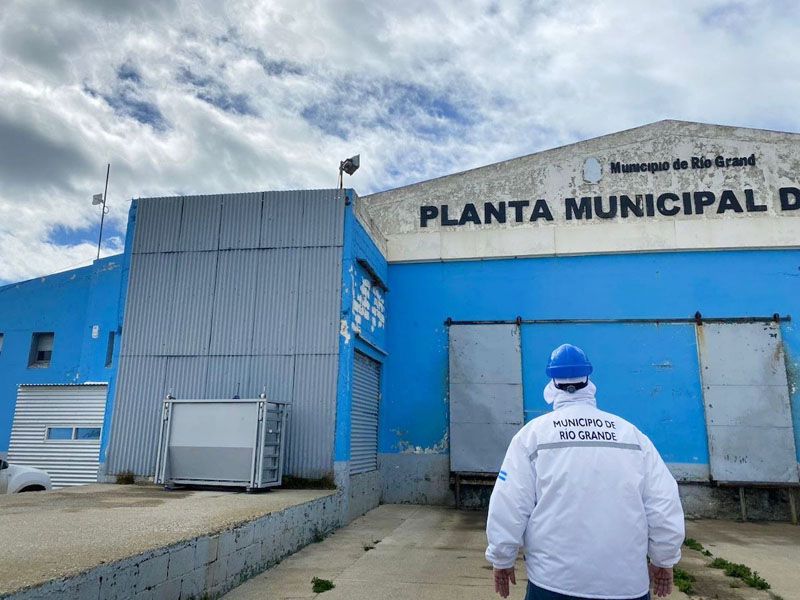 La producción porcina riograndense afianza su crecimiento