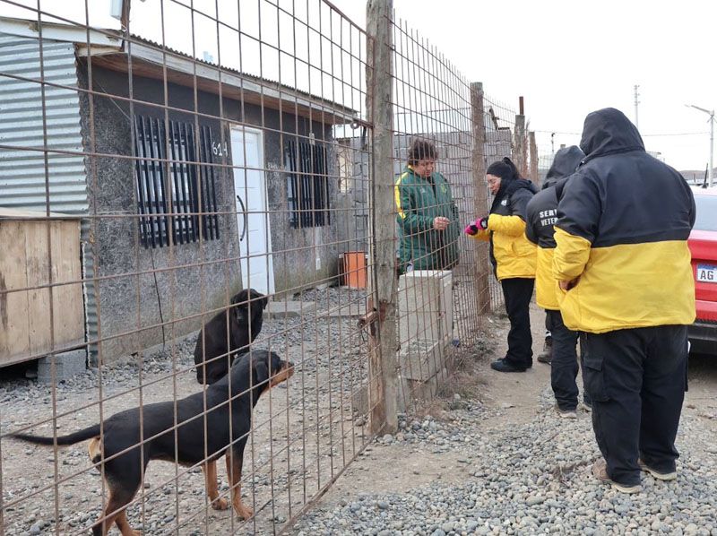 El Municipio reforzó la atención veterinaria territorial 