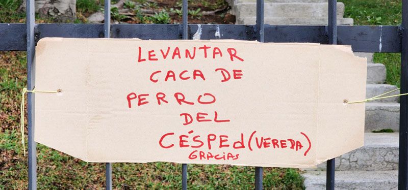 Caca con dueño