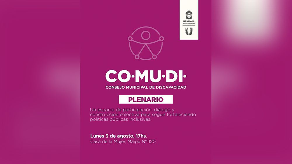 Nueva plenaria del Consejo de Discapacidad