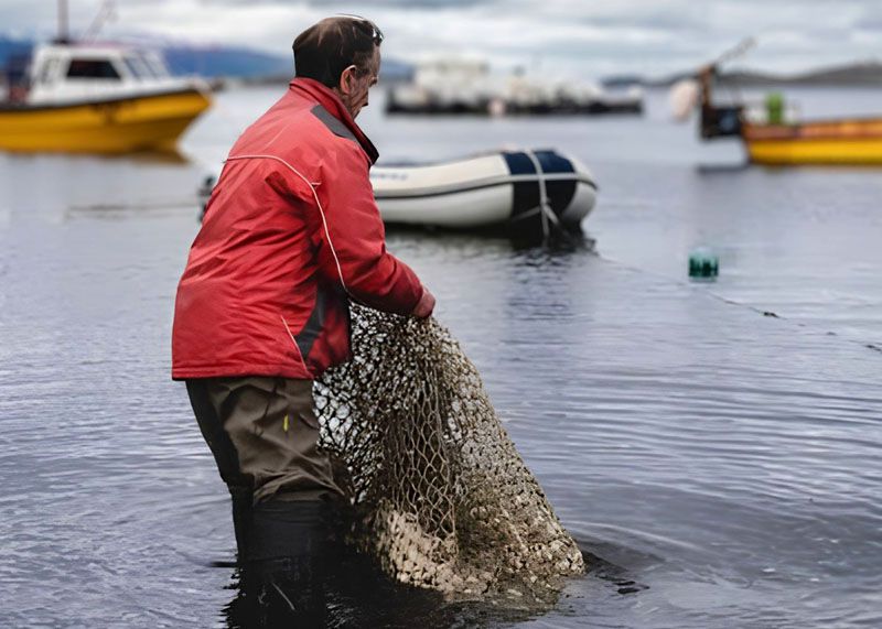 “Le dan prioridad a Newsan y no a la pesca artesanal”