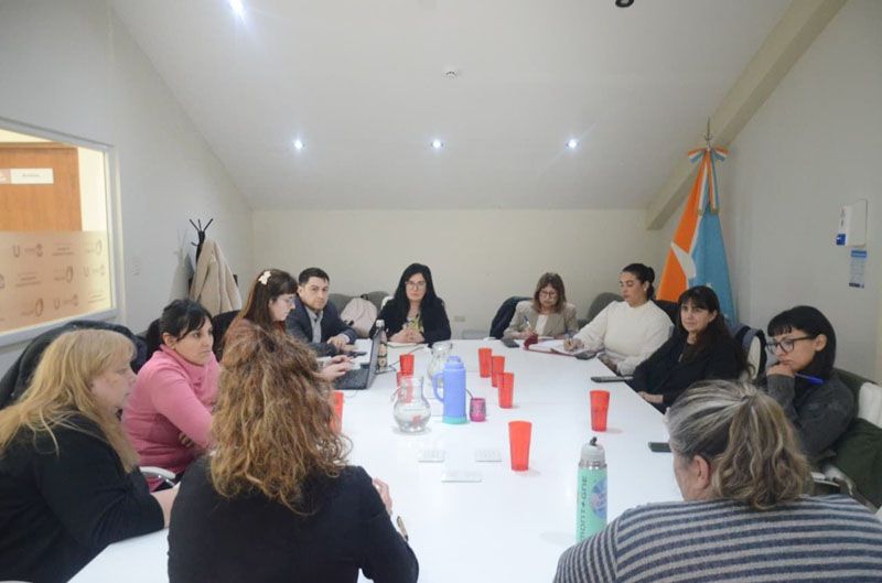 Avanza el trabajo de la Comisión de Salud Mental