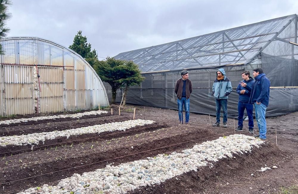 La Chacra Agroexperimental se potencia con Río Grande Activa